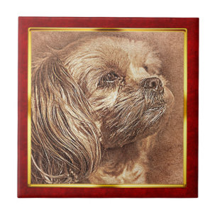 Rode & Gouden Abstracte Hondprint met Lijst Tegeltje