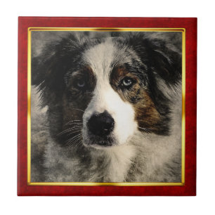 Rode & Gouden Abstracte Hondprint met Lijst Tegeltje