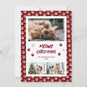 Rode Gouden Pootjes Foto Kattige Kerstkaart