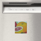 Rode Grapefruit Koelkast Magneet (Insitu (Vaatwasser))