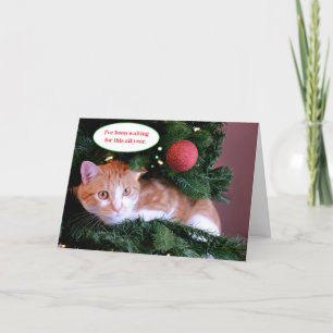 Rode grappige oranje kat in een kerstboom feestdagen kaart