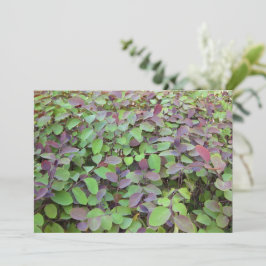 Rode & Groene Bladeren Takken Fotografie Notitiekaartje