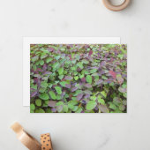 Rode & Groene Bladeren Takken Fotografie Notitiekaartje (Voorkant / Achterkant in situ)