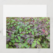 Rode & Groene Bladeren Takken Fotografie Notitiekaartje (Voorkant / Achterkant)