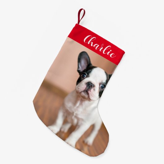 Rode Groene Hond Foto Gepersonaliseerde Naam Kleine Kerstsok (Voorkant (Hangend))