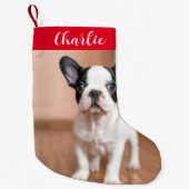 Rode Groene Hond Foto Gepersonaliseerde Naam Kleine Kerstsok (Voorkant)