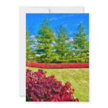 Rode & Groene Kerst Kaart