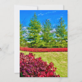 Rode & Groene Kerst Kaart