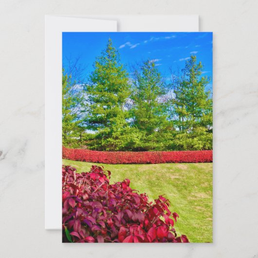 Rode & Groene Kerst Kaart (Voorkant)