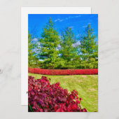 Rode & Groene Kerstkaart (Voorkant / Achterkant)