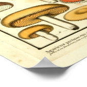  rode, groene paddenstoelen, Frans afdrukken Poster (Hoek)