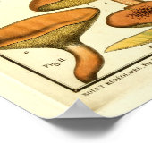  rode groene paddenstoelen Franse kunst afdrukken Poster (Hoek)