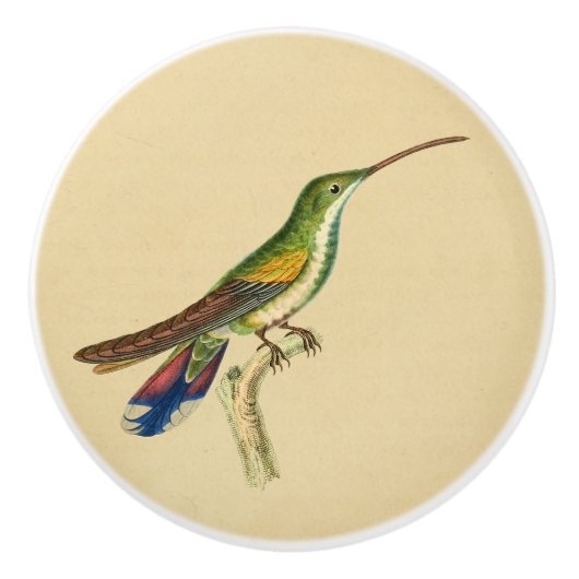 rode, groene trekvogelknop keramische knop (Voorkant)