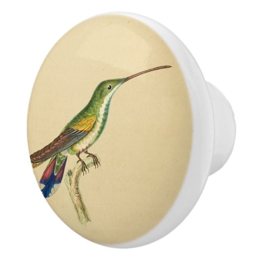 rode, groene trekvogelknop keramische knop (Rechts)