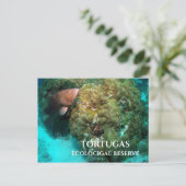 Rode Groepering in Koraal, Tortugas Ecological Res Briefkaart (Staand voorkant)