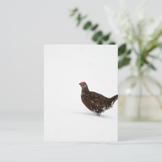 Rode grog briefkaart (Staand voorkant)