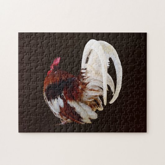 Rode haan met witte staartveren legpuzzel (Horizontaal)