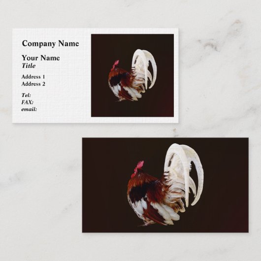 Rode haan met witte staartveren visitekaartje (Voorkant / Achterkant)