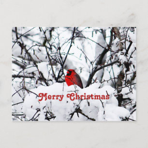 rode halve sneeuwfotokerst briefkaart