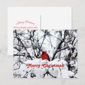  rode halve sneeuwfotokerst briefkaart (Voorkant / Achterkant)