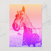 Rode Hart en Paard Valinetine of liefde