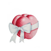 rode harten vastgemaakt met witte linten voor trou bedankdoosjes