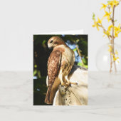 Rode Hawk #1 - Blanco briefkaart (Gele Bloem)