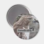 Rode Hawk Birding magnet (Voorkant / Achterkant)