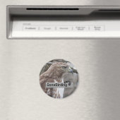Rode Hawk Birding magnet (Insitu (Vaatwasser))