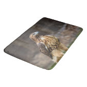 Rode hawk in de Hudson-vallei Badmat (Gekanteld)