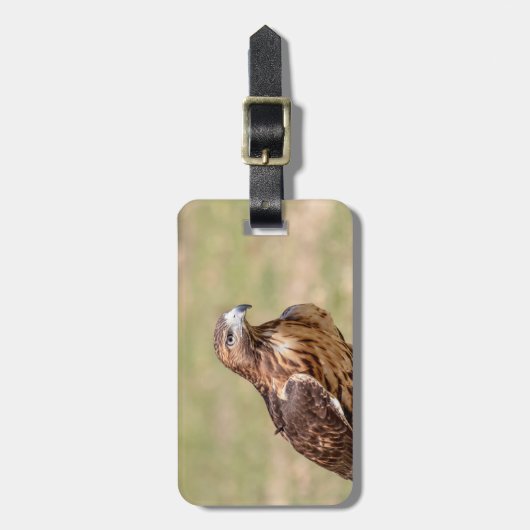 Rode hawk in de Hudson-vallei Bagagelabel (Voorkant verticaal)