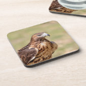 Rode hawk in de Hudson-vallei Bier Onderzetter (Linkerzijde)