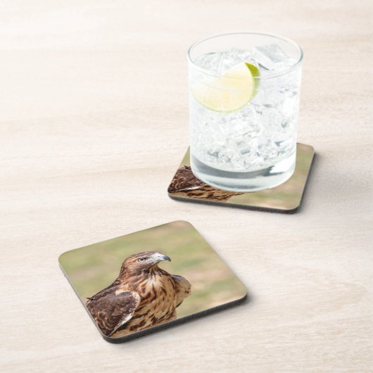 Rode hawk in de Hudson-vallei Bier Onderzetter (Rechterzijde)