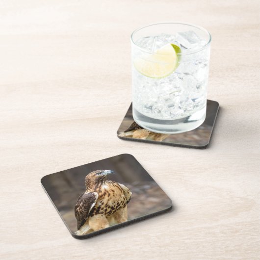 Rode hawk in de Hudson-vallei Bier Onderzetter (Rechterzijde)