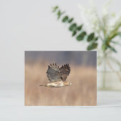 Rode hawk in de Hudson-vallei Briefkaart (Staand voorkant)