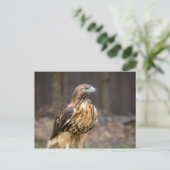 Rode hawk in de Hudson-vallei Briefkaart (Staand voorkant)