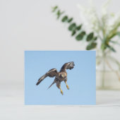 Rode hawk in de Hudson-vallei Briefkaart (Staand voorkant)