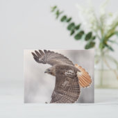 Rode hawk in de Hudson-vallei Briefkaart (Staand voorkant)