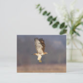 Rode hawk in de Hudson-vallei Briefkaart (Staand voorkant)