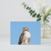 Rode hawk in de Hudson-vallei Briefkaart (Staand voorkant)