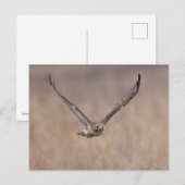 Rode hawk in de Hudson-vallei Briefkaart (Voorkant / Achterkant)