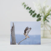 Rode hawk in de Hudson-vallei Briefkaart (Staand voorkant)