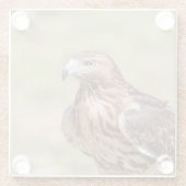 Rode hawk in de Hudson-vallei Glazen Onderzetter (Achterkant)