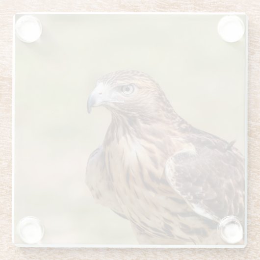 Rode hawk in de Hudson-vallei Glazen Onderzetter (Achterkant)