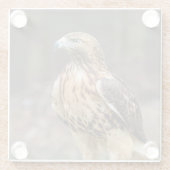 Rode hawk in de Hudson-vallei Glazen Onderzetter (Achterkant)