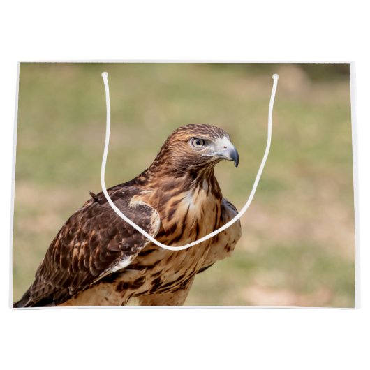 Rode hawk in de Hudson-vallei Groot Cadeauzakje (Voorkant)