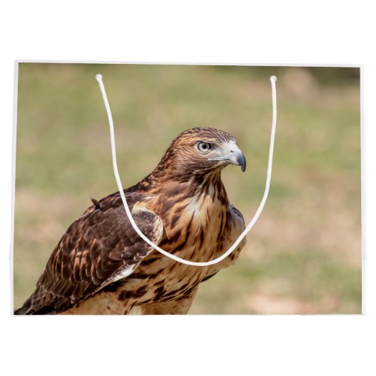 Rode hawk in de Hudson-vallei Groot Cadeauzakje (Achterkant)