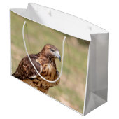 Rode hawk in de Hudson-vallei Groot Cadeauzakje (Achterkant Gekanteld)