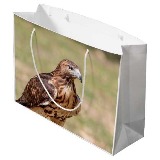 Rode hawk in de Hudson-vallei Groot Cadeauzakje (Achterkant Gekanteld)