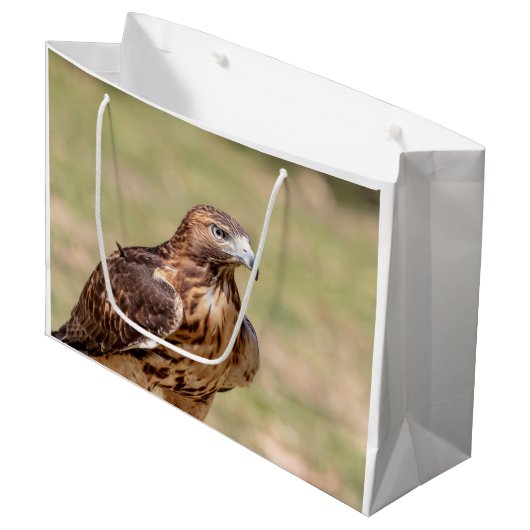 Rode hawk in de Hudson-vallei Groot Cadeauzakje (Voorkant Gekanteld)